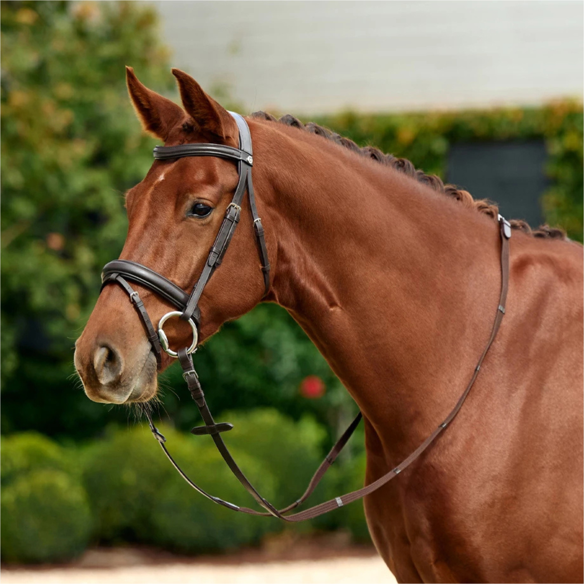 2026 Dublin Gevoerde Mono Kroon Flash Bridle 1031498 - Brown
